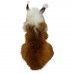 Squirrel (M)