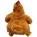 Chicken (S)N