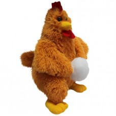 Chicken (S)N