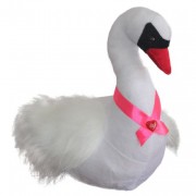 Swan (M)Pl