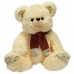Bear Zephyr (S)N