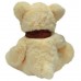 Bear Zephyr (S)N