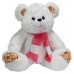 Bear Zephyr (S)N