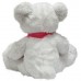 Bear Zephyr (S)N