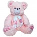 Bear Zephyr (S)N