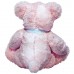 Bear Zephyr (S)N