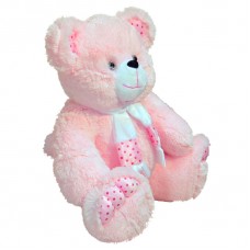 Bear Zephyr (S)N