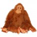 Orangutan (L)