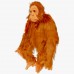 Orangutan (L)