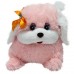 Pekinese (M)N