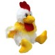 Rooster Petka (S)N
