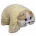 Pillow Cat (M)N