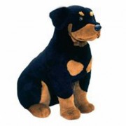 Rottweiler Lisa (M)