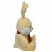 Hare Kostya (L)N