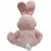 Hare Timoshka with Heart (G)N